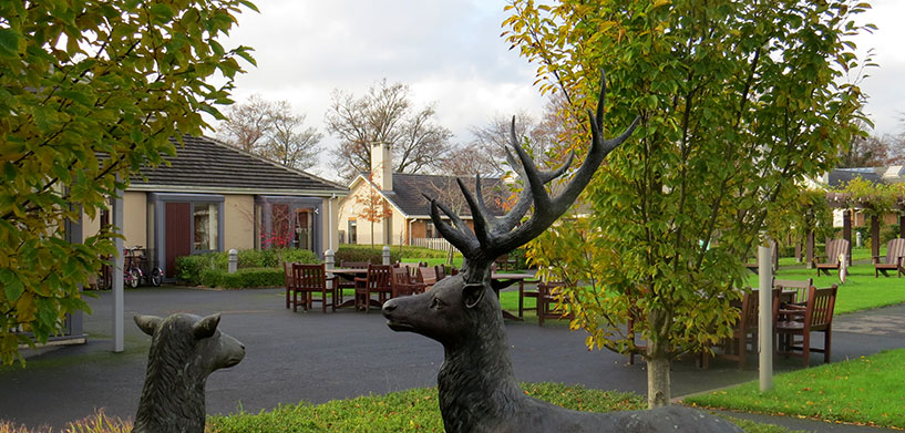 deer